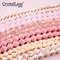 Crystal Lane DIY 2-Strand 7in Opaque Finish Glass Bicone Bead Strands